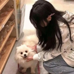 蜘蛛侠摩托狂飙2